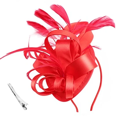 Image of DRESHOW Fascinators Hat Ribbons Feathers on a Headband Clip Cocktail Tea Party Headwear for Girls and Women