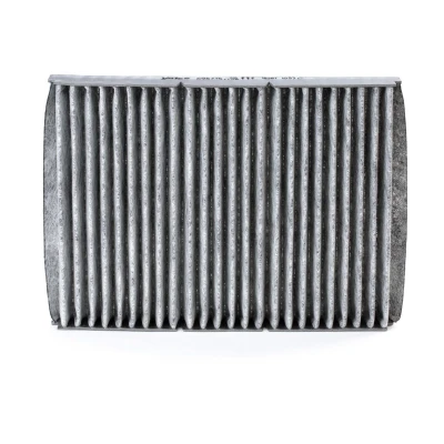 Image of JZW819653 Pollen Filter VALEO CLIMFILTER PROTECT 698716 Activated Carbon 284mm 207mm 30mm VOLKSWAGEN: Golf 4, Passat B5 GP Saloon, Bora Saloon