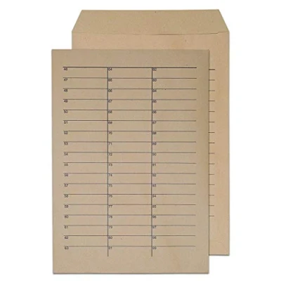 Image of Blake Purely Everyday C4 324 x 229 mm 90 gsm Pocket Internal Mail Envelopes (13941INT) Manilla Pack of 250