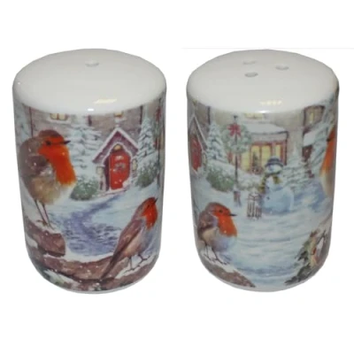 Image of Christmas Salt and Pepper Pots Gift Boxed Fine China Tableware Robin Design 7283