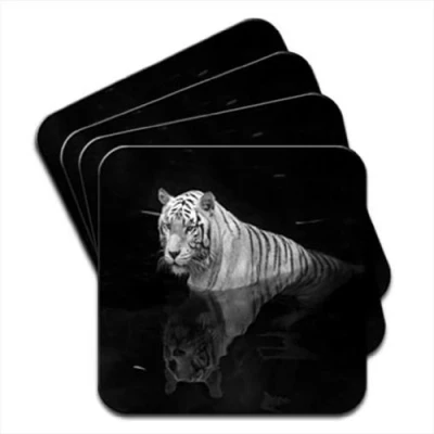 Image of White Tiger in Water with Reflection Set of 4 Coasters