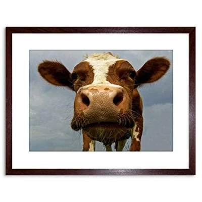 Image of Wee Blue Coo 9x7 &#039;&#039; FUNNY COW FARM ANIMAL CLOSE UP FRAMED ART PRINT PICTURE PHOTO F97X362