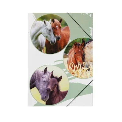 Image of PAGNA Lovely 21720 15 Elasticated Folder A3 Polypropylene 3 Flaps