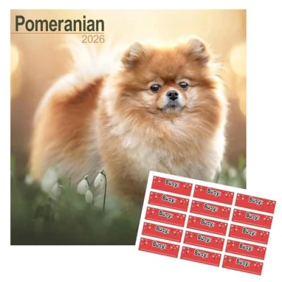Image of Pomeranian Calendar 2025 16 months with FREE Organisational Stickers
