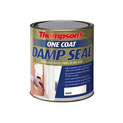 Image of Ronseal RSLTOCDS25L 2.5L Thompsons One Coat Damp Paint Seal