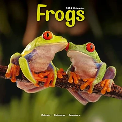 Image of Frogs Calendar 2024 Square Animal Wall 16 Month