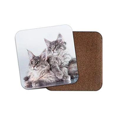 Image of 1 x Cute Maine Coon Kitten Cat Coaster Feline Animals Pets Mum Aunt #15729