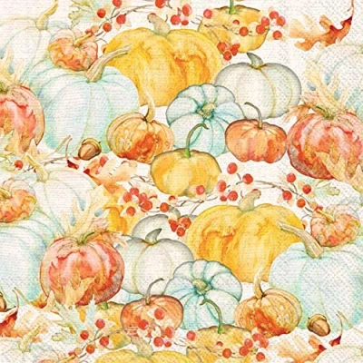 Image of Boston International IHR 20 Count 3 Ply Cocktail Beverage Paper Napkins, 5 x Inches, Watercolor Pumpkins