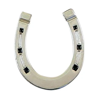 Image of Lucky Horseshoe Metal Enamelled Pin Badge Lapel