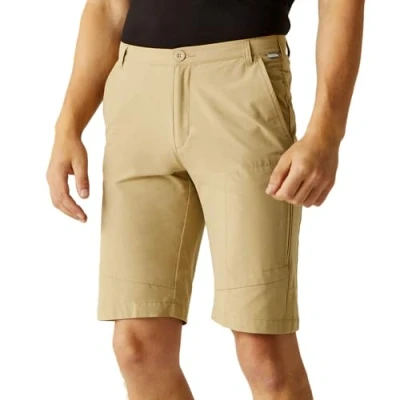 Image of Regatta Mens Highton Long Cargo Hiking Walking Shorts Oat 42