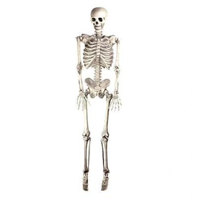 Image of Bristol Novelty HI301 Skeleton Hanging, White/Grey, One Size