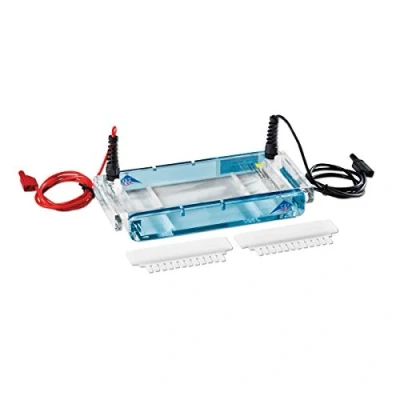 Image of 3B Scientific Electrophoresis Chamber S