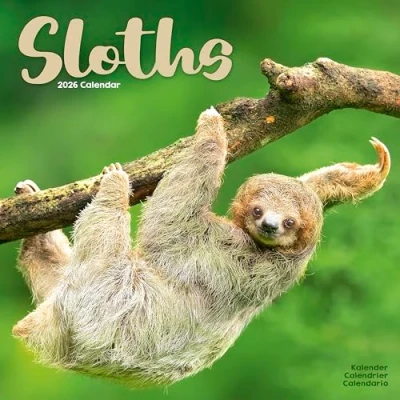 Image of Sloths Calendar 2026