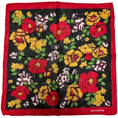 Image of Zac&#039;s Alter Ego Large Floral Print Bandana with Red Border