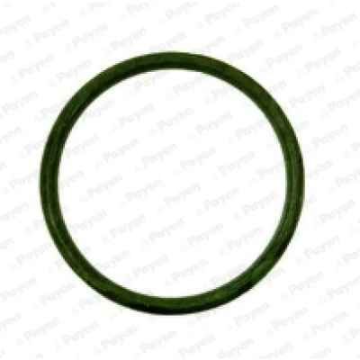 Image of 0342E0 Intake Manifold Gasket PAYEN JD538 PEUGEOT: 206 Hatchback, 205 II 106 CITROËN: C2 Hatchback