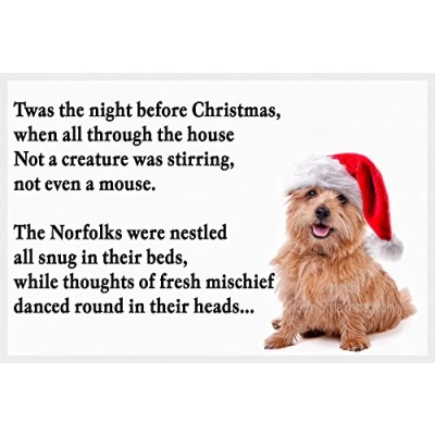 Image of Norfolk / Norwich Terrier Fridge Magnet Christmas Gift