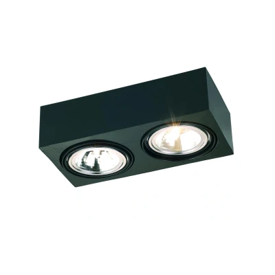 Image of Rodos Twin Surface Mounted Downlight Black Structure