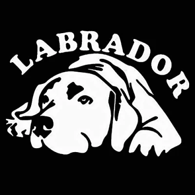 Image of Porfeet Car Sticker, Cute Labrador Dog Vehicle Body Window Reflective Decals Sticker Decoration White