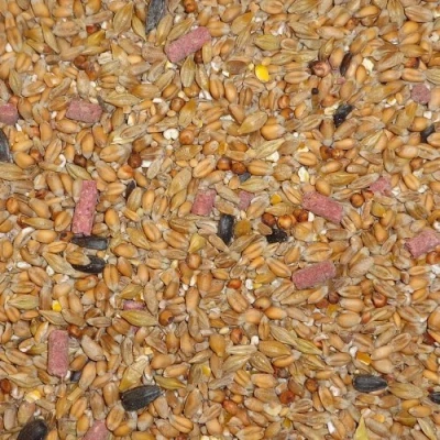 Image of 25 kg Dawn Chorus Original Flavour Wild Bird Seed Mix