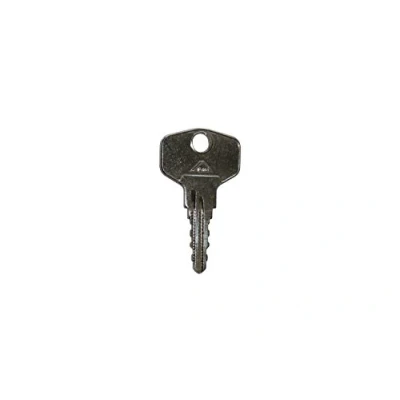 Image of Roto TS4071 Original Key 1G1 Large 44 mm for Lockable Handles Rotoline, Silver,