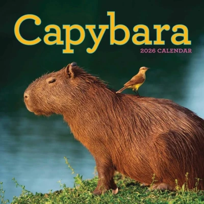 Image of Capybara Calendar 2026