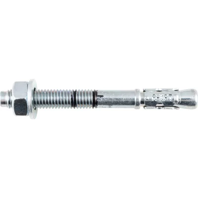 Image of Rawlplug R XPT 10095 10 x 95 mm M10 Zinc Plated Through Bolt (50 pieces)