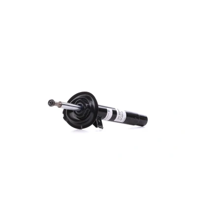 Image of 2282459, 31312282459 Shock absorber SACHS 317 539 Left Gas Pressure Twin Tube Suspension Strut Top pin BMW: 3 Coupe, Compact, Saloon