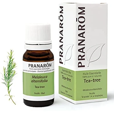 Image of PRANARÔM Tea Tree Chemotyped Essential Oil Natural Defenses 100% Pure And HECT 10 ml