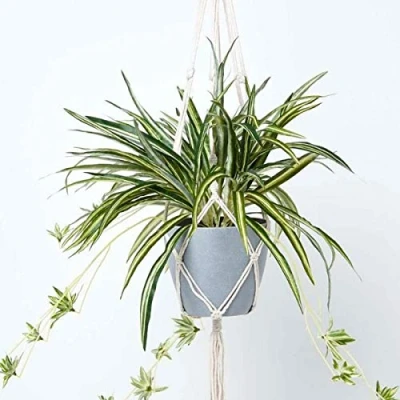 Image of HOMESCAPES Artificial Hanging Basket 95 cm Long Faux Spider Plant In Grey Melamine Pot with Macramé Knotted Rope Style Hanger and Hook for Indoor Decoration