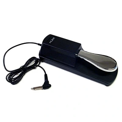 Image of FZone Professional Sustain Pedal for Digital Pianos and Electronic Keyboards