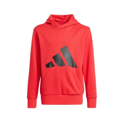 Image of adidas Unisex Kids ESSENTIALS BIG LOGO HOODIE, Pure Ruby/Black, 15 16 Years