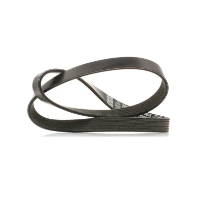 Image of 1141317, 1143407, 1148907, 1253583, 1557104 V ribbed belt DAYCO 6PK1019EE 1019,0mm 6 FORD: FOCUS 2, 3, FIESTA 6, MAZDA: 2 Hatchback