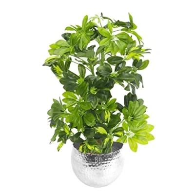 Image of Leaf Design UK Artificial Realistic Potted House Plants, Golden Capella Silver, 65 cm