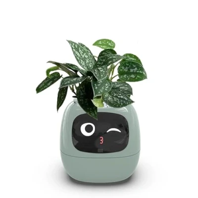 Image of Itigoitie Smart Flowerpots,Smart Pet Planter,Ai Planter,Intelligent Flowerpots,Multiple Expressions,7 Sensors, and Ai Chips Make Raising Plants Easy Fun for Living Room,Plant Free(Green)