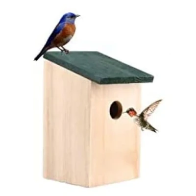 Image of ALAYSTAR Premium Wild Bird House Wooden Nest Box Ideal For Sparrows Robin Small Birds Great Tit Blue Comes Assembled