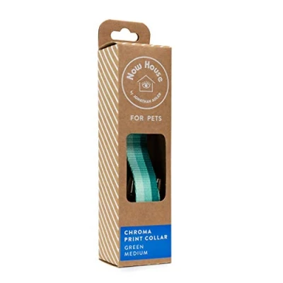 Image of &quot;Now House for Pets by Jonathan Adler Green &quot;&quot;Chromatic&quot;&quot; Collar Medium&quot;