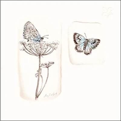 Image of Greeting Card &#039;Into The Meadow&#039; National Trust Habitat Range 464010