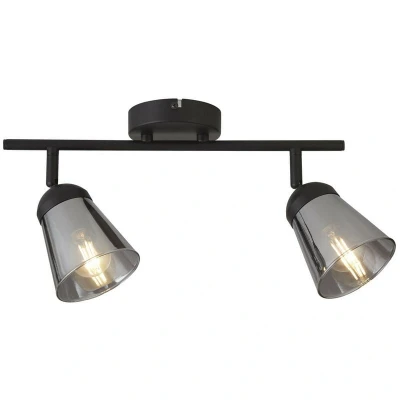 Image of Searchlight Classy ceiling spotlight, 2 bulb