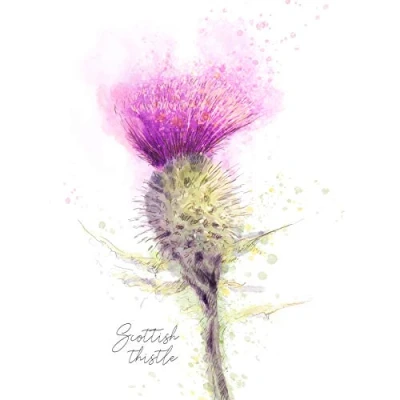 Image of Wee Blue Coo Scottish Thistle Flower Head Watercolour Scotland Large Art Print Poster Wall Decor 18x24 inch