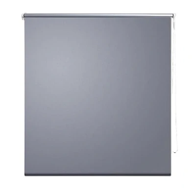 Image of vidaXL Roller Blind Blackout 60 x 120 cm: Light Reducing &amp; Thermal Coating, Easy Install with Included Mounting Accessories, Adjustable Pull Chain Grey
