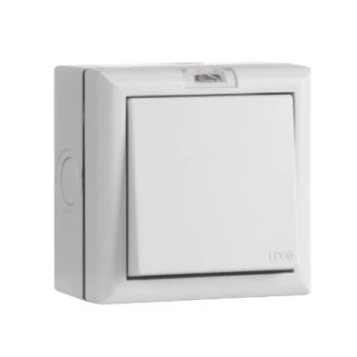 Image of SMJ SMJE61G2B 1 Gang 2 Way IP66 Weatherproof Outdoor Switch Neon