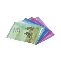 Image of Rapesco Eco Popper Wallet A4 + Assorted (Pack of 5) 1039