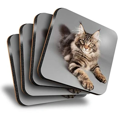Image of Destination Vinyl ltd Great Coasters (Set of 4) Square Cute Maine Coon Cat Drink Glossy Coasters/Tabletop Protection for Any Table Type #15678