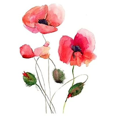 Image of Wee Blue Coo Flower Poppies Watercolour Unframed Art Print Poster Wall Decor 12x16 inch