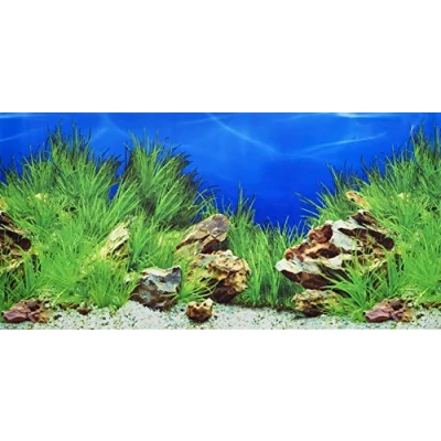 Image of Pistachio Pet Double Sided Background Aquarium Poster, 45 x 100 cm