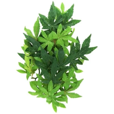 Image of Exo Terra Silk Abutilon Plant, Medium