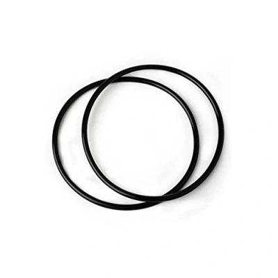 Image of Bbagua GS530144.0 JUNTA Vaso 10&quot; 2ud Glass Gasket