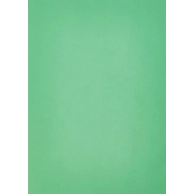Image of House of Card &amp; Paper A4 80 GSM Coloured Bright Green (Pack 50 Sheets), HCP59