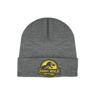 Image of ONOMATO! Jurassic World Kids Boys Beanie Winter Hat, gray, One Size Fits All
