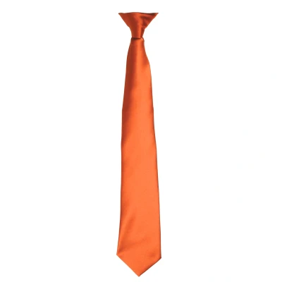 Image of Premier Colours Mens Satin Clip Tie (Orange) One Size